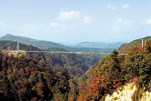 九重“夢”大吊橋