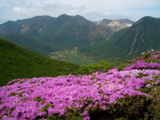 風景1 風景1