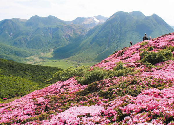 くじゅう連山