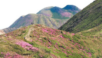 くじゅう連山登山