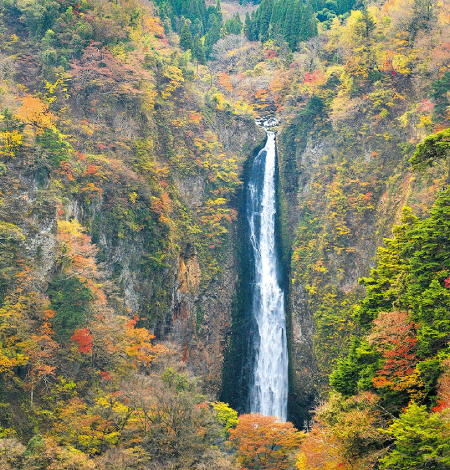 震動の滝