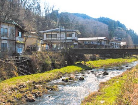 宝泉寺温泉のホタル