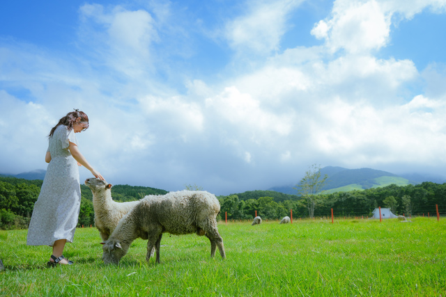 ５　観光牧場（かんこうぼくじょう）