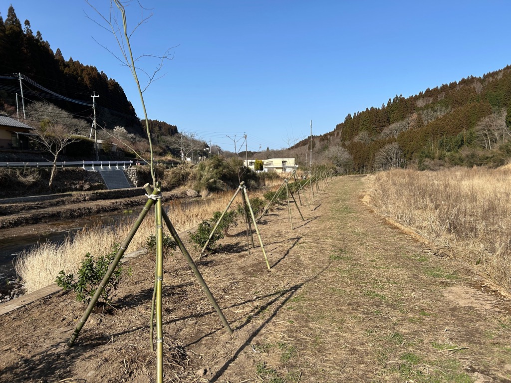 パーク仙洞の滝