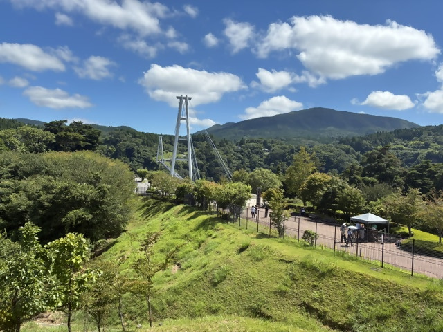 turihashi1 turihashi1