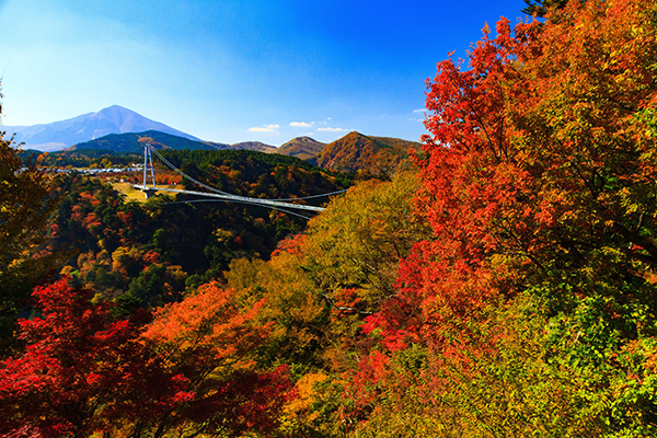 田野倉圭亮：夢の大橋に秋をのせて