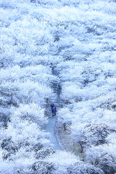 清水亮一：雪の華