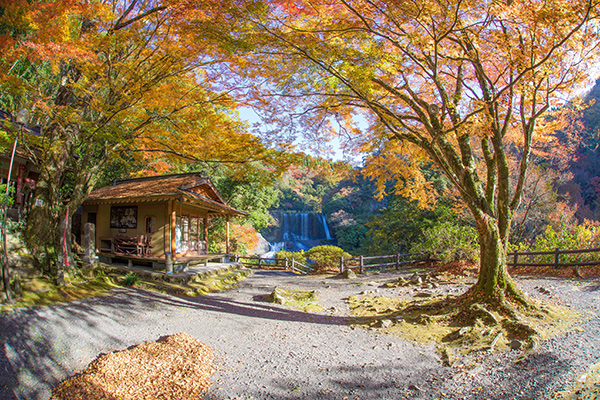 姫野貴文：神社と紅葉