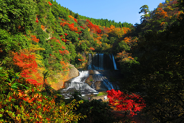 山本憲太郎：龍門秋色