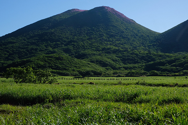 中島聖子