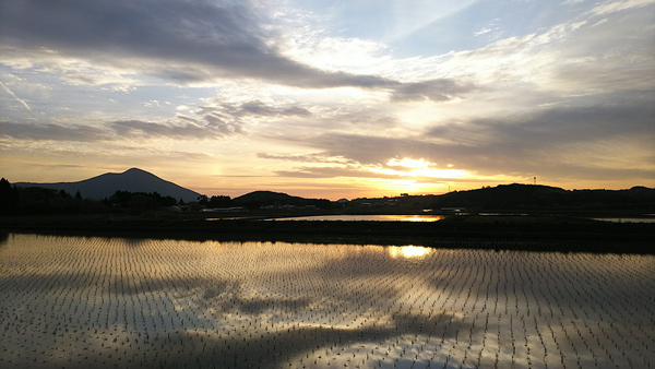 山中栄子：千町無田の夕日