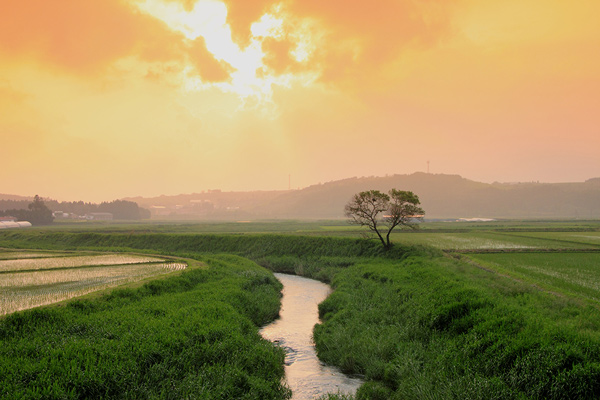 松井淳一：千町無田の風景