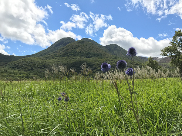 植山 順子：くじゅうの空